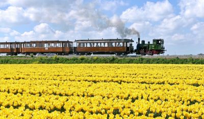 20240429-stoomtram-langs-tulpenveld-bij-oostwoud-koos-dol-1