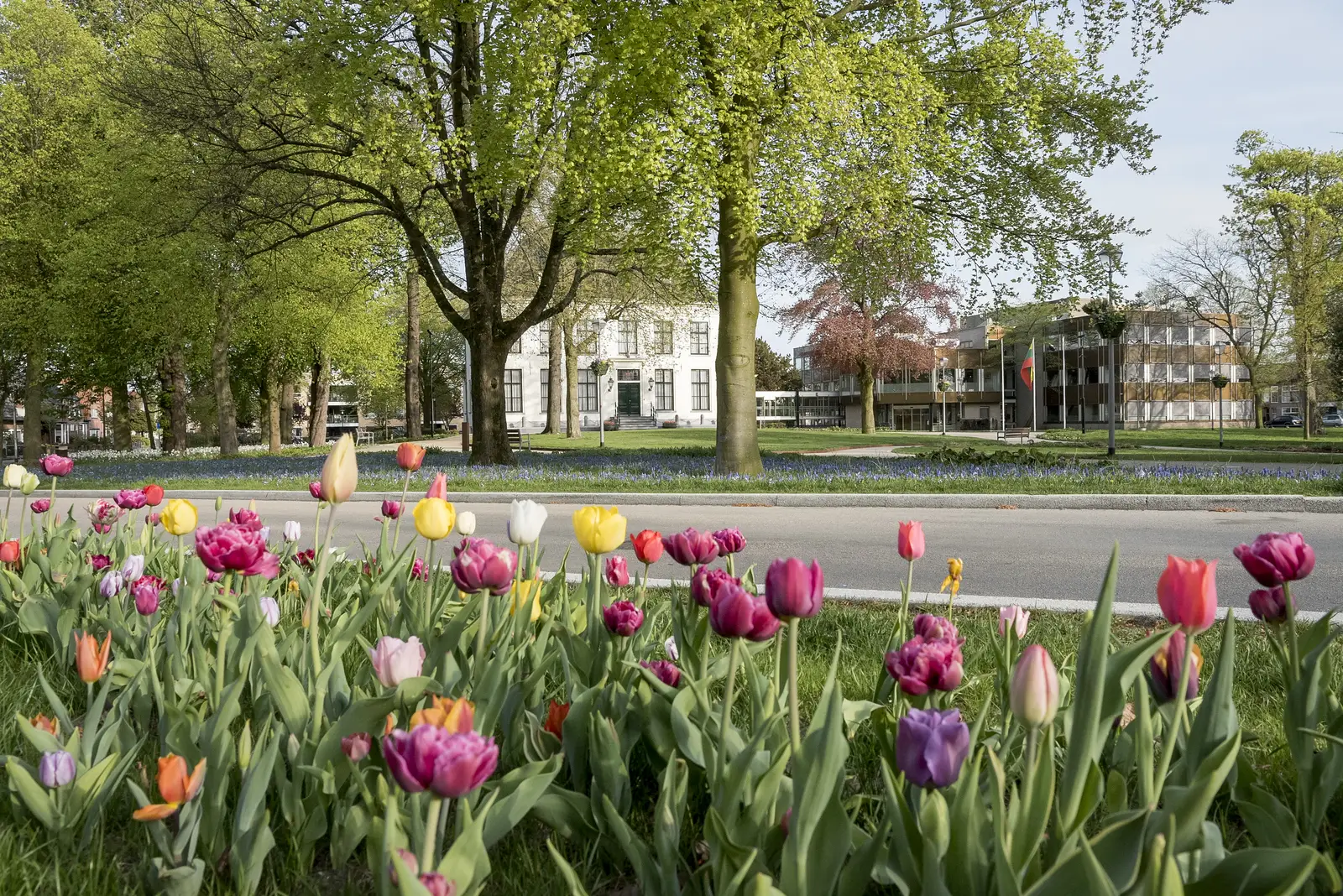 hoftuin bij gemeentehuis hof